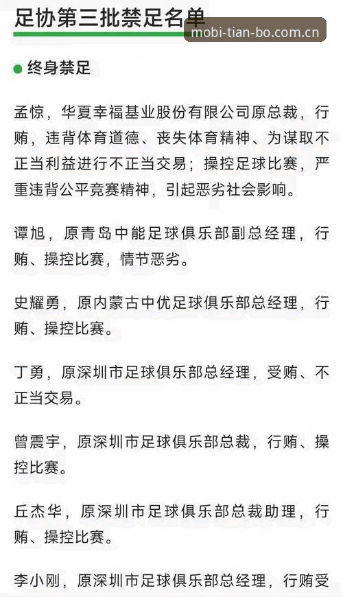 天博体育平台入口 足协第三批禁足名单深度解读:从行业乱象看足球生态重建